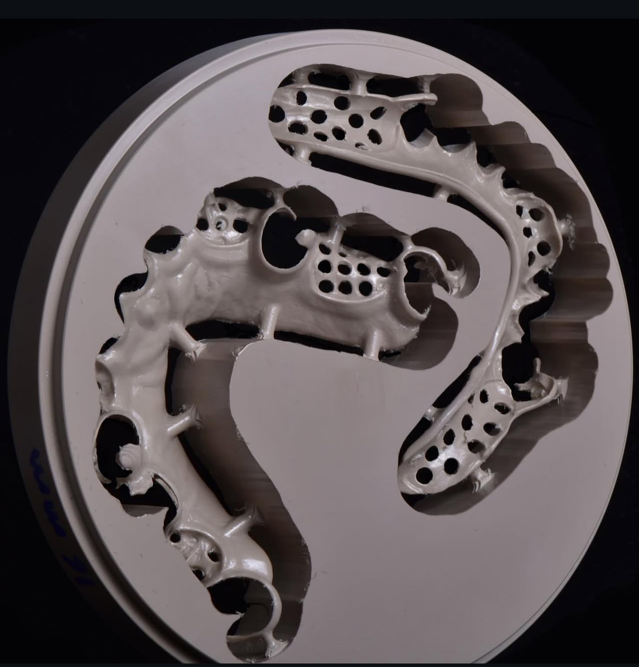 Dental PEEK milling case